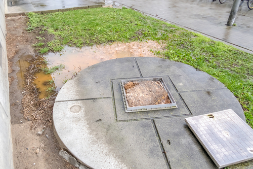 Septic System Repair Support in Tonasket WA